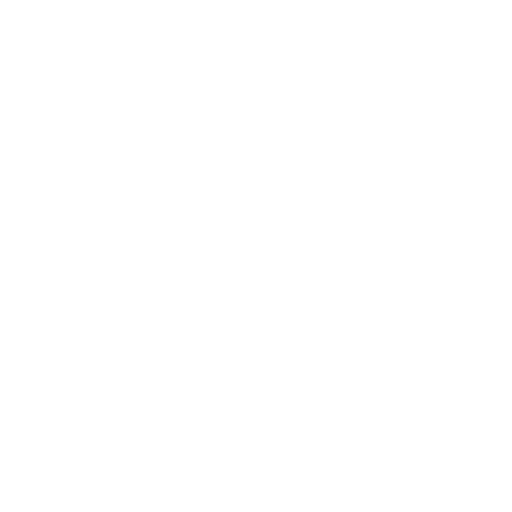 our icon